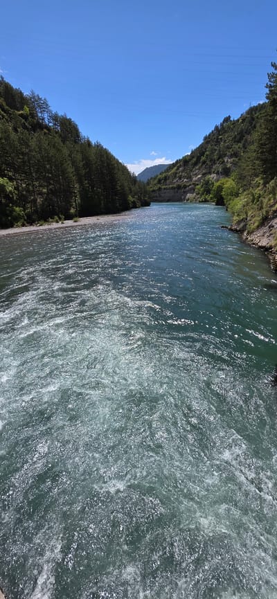 The image shows a wide, fast-flowing river in Campo, Spain. The river occupies the majority of the frame and is light green in color with strong reflections and white water due to the current. On either side of the river, there are steep, tree-covered banks. The left bank has a dense forest of tall, thin trees under a clear blue sky with power lines visible. A portion of a mountain is visible further up the river.