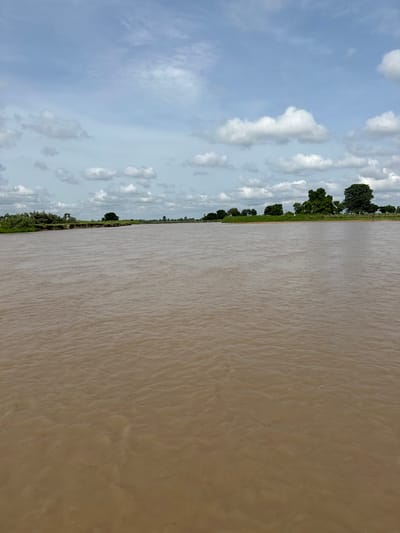 A wide, muddy river occupies the foreground of the image. The water appears to have a rippled surface, suggesting some current. In the midground, the far bank of the river is visible, lined with a dense growth of green vegetation and scattered trees. Some of these trees are tall and leafy, while others are smaller and shrub-like. The vegetation appears to be growing on a slightly elevated embankment. The background consists of a light blue sky with scattered white clouds. A single person is visible walking along the far bank of the river on the right side of the image, appearing as a small, dark silhouette against the landscape. The overall scene depicts a natural riverine environment. This image is identified as being located in Kunini, Nigeria.
