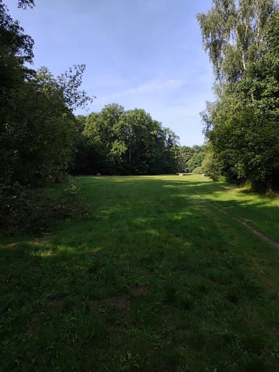 A wide, green, sunlit meadow stretches into the distance, bordered by dense, dark green trees. The sky is a clear, light blue with a few wispy clouds. In the middle ground of the meadow, two round hay bales are visible. A faint, dirt path runs along the right side of the meadow, disappearing into the treeline. The overall scene suggests a natural, undeveloped area within a park or rural setting. This location is likely within the city of Uniejów, Poland.