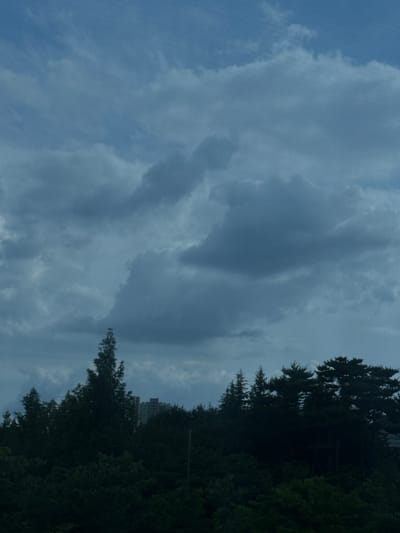 This media file captures a cloudy sky with a dense line of evergreen trees running along the right side of the frame. A multi-story building is visible behind the trees on the far right, suggesting an urban or suburban setting. The clouds are a mix of dark gray and lighter white, indicating overcast weather, possibly before or after rain. The overall lighting suggests it is daytime, but the heavy cloud cover prevents direct sunlight. The trees are tall and appear to be mature, casting shadows on the ground, though the ground itself is not visible. The scene conveys a somewhat somber or moody atmosphere due to the weather. There is no visible text within the image.