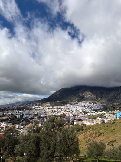An expansive, elevated view captures the city of Chefchaouen, Morocco, nestled within a mountainous terrain under a partially cloudy sky. The upper third of the image is dominated by a mixture of bright blue sky and large, white and grey cumulus clouds, with a dense band of dark grey clouds obscuring the upper slopes of the prominent mountain range in the background. The mountain, primarily dark green with vegetation, descends into a valley where the city is densely packed. Buildings are predominantly painted in shades of blue and white, characteristic of Chefchaouen, with some traditional terracotta roofs also visible. The city sprawls across the undulating hillsides, extending towards the left and into the mid-distance. In the foreground, several dark-leaved olive trees occupy a grassy slope. Towards the lower right, within the grassy area, several light-colored quadrupeds, consistent with sheep or goats, are visible grazing. The scene is illuminated by diffused daylight, casting some shadows on the mountain and parts of the city. No human figures are discernible.