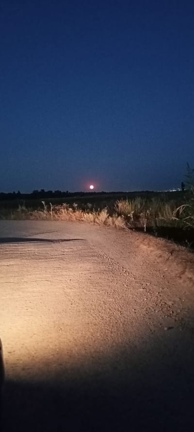 This is a vertical, full-frame photograph taken at night on a dirt road in the vicinity of Маловодное, Kyrgyzstan. A full moon, tinged with red, is visible in the dark blue sky above a distant treeline and fields. The foreground shows the illuminated surface of the dirt road, with its texture and gravelly details clearly visible due to the light source from the lower left corner, likely headlights. The right side of the road transitions to dry grass and vegetation. In the far distance, faint lights suggest a settlement. No people are present in the image.