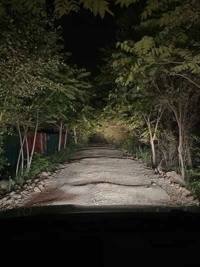 The image depicts a dirt road at night, illuminated by an unseen light source. The road is flanked by dense foliage and trees on the left, with a rocky embankment on the right. A dark, shadowy area occupies the far right side of the frame, possibly indicating the edge of the road or an obstruction.
The road itself appears uneven, with visible tire tracks and a patchy surface suggesting it's unpaved. The rocky embankment is composed of various sizes of stones and pebbles. The vegetation on the left is lush and appears to be a mix of trees and shrubs, with some branches extending over the road. In the middle ground, partially obscured by foliage, are what appear to be small structures with green and red siding, possibly sheds or makeshift buildings.
The time of day is clearly night, given the darkness and the artificial illumination of the road. There are no people visible in the image. The overall impression is one of a secluded, possibly rural or remote location. The environment seems natural, with a focus on the road and its surroundings. No text is visible in the image.