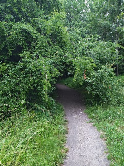 The image depicts a dirt path winding through a dense, green forest. The path is narrow and appears to be somewhat overgrown with grass and weeds on its edges. Tall trees and thick foliage create a canopy overhead, casting the path in dappled shade, suggesting it might be midday or late afternoon under an overcast sky. The overall impression is one of a secluded, natural setting, likely a park or woodland area. There are no people or man-made objects visible besides the path itself, which is made of gravel and dirt. The lush greenery and the path's gentle curve invite exploration. The weather appears to be mild, with no signs of harsh sunlight or rain. The scene evokes a sense of tranquility and the quiet beauty of nature.