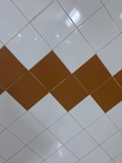 The image shows a close-up, overhead view of a tiled wall with a diamond pattern. The tiles are white and brown, arranged in alternating rows. The grout lines are thin and light gray. The tiles appear to be glossy and somewhat reflective, indicating they are likely ceramic or porcelain. There is a subtle sheen on the white tiles, suggesting they are clean and well-maintained. The brown tiles are a warm, earthy tone. The pattern is consistent across the visible area of the wall, with no signs of damage or disrepair. The scene is devoid of people, animals, or any other objects. The image is a static, detailed capture of a decorative wall surface. There is no discernible information within the image to suggest its specific location in Berrechid, Morocco, or any other city.