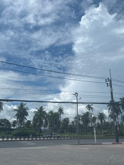 The media file captures a scene in Ban Yid, Thailand, characterized by a bright, cloudy sky. The primary subjects are a row of palm trees lining a road, with utility poles and power lines running through the frame, suggesting an infrastructure that supports a populated area. The road itself is paved with white lane markings and a distinct black and white striped curb, indicating a well-maintained public thoroughfare. A white vehicle is partially visible on the right side of the road, suggesting ongoing activity.

The time of day appears to be daytime, given the bright sky and the presence of shadows, though the exact hour is not discernible. The weather is partly cloudy, with large white clouds scattered across a blue sky, creating a visually dynamic backdrop. The lush green foliage of the palm trees suggests a tropical or subtropical environment. A circular sign with the number "60" is visible on a pole, likely indicating a speed limit.

The overall impression is one of a tropical roadside scene, possibly a highway or a main road, bathed in daylight with a moderate cloud cover. There are no people visible in the frame. The scene conveys a sense of everyday life in a warm climate, with infrastructure supporting transportation and the natural beauty of palm trees.