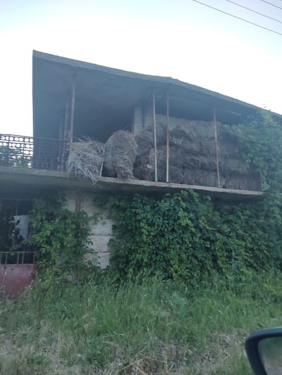 The image shows a two-story structure with hay bales stored on the upper level. The building appears to be made of concrete and wood. The lower level is partially obscured by lush green vines. In front of the structure, there is a field of tall grass. The sky is clear and pale blue. The scene is located in the city of Kochmar, Bulgaria.
