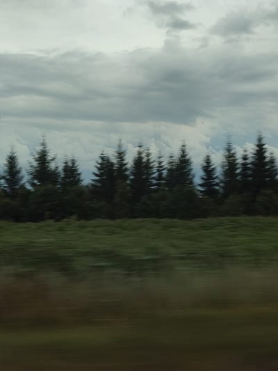 The image captures a blurred, horizontal view of a landscape under a cloudy sky. In the middle ground, a line of dark green, cone-shaped trees is visible, appearing stretched horizontally due to motion blur. In the foreground, a blurred expanse of green and brown grass or crops stretches across the lower portion of the image. The sky is filled with textured, gray clouds, also exhibiting a horizontal blur, suggesting movement. The overall impression is of a fast-moving perspective, possibly from a vehicle. There are no people or specific structures discernible in this scene, which appears to be a natural environment. The location of Krugloe Pole, Russia, is not visually identifiable within the image itself.