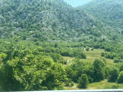 This is a wide-angle photograph of a mountainous landscape in Dragalj, Montenegro, dominated by lush green vegetation. The foreground features a large, leafy tree in sharp focus. Beyond this tree, the terrain slopes upwards, covered in a dense forest of various shades of green. Interspersed with the trees are patches of light-colored rock, particularly visible on the higher slopes. The background reveals more distant, hazy mountains, suggesting a vast and expansive natural environment. A small, cleared grassy area with a few scattered trees and a distant, small rustic structure is visible in the mid-ground. The sky is clear and light blue. The image appears to have been taken from a slightly elevated position.