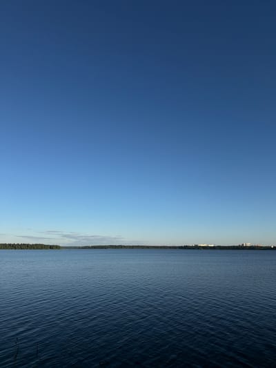The image depicts a vast, calm body of water with gentle ripples, reflecting the clear, deep blue sky. A thin, tree-lined horizon separates the water from the sky. On the far right of the horizon, several multi-story buildings are visible, suggesting a developed area. A tall, slender structure, possibly a tower or chimney, is also discernible in the distance, situated on the horizon line. The foreground shows the dark, rippled surface of the water, with a few dark vertical elements, likely reeds or grass, emerging from the bottom edge of the frame. The scene is bathed in natural light, indicative of daytime. The location is the city of Osipovo, Russia.