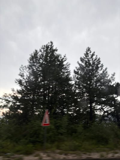 The image shows a triangular road sign with a red border and a white interior, featuring a symbol of a black triangle within. The sign is positioned on a pole amidst dark green foliage, likely trees or bushes. The foliage dominates the right side of the image, with lighter greenery visible in patches. The sky is overcast and grey, suggesting a cloudy or rainy day. In the background, blurred trees form a dense line. The overall impression is of a rural or roadside setting in Dobrsko selo, Montenegro. The image appears to have been taken while in motion, as indicated by the motion blur affecting the trees and the sign. There is no discernible activity or event taking place. The time of day is likely daytime, given the lighting, but the overcast sky obscures any direct sunlight. No emotions are conveyed. The text on the sign is not legible due to the image quality and resolution.