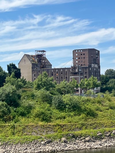 The image shows an abandoned industrial building, likely a former grain elevator or mill, situated on a hillside overlooking a body of water. The building is composed of several interconnected structures of varying heights and materials, with a lighter colored, sloped-roof section on the left and a taller, darker brick section on the right. Both sections exhibit signs of disrepair, including broken windows, exposed structural elements, and visible deterioration. A complex metal structure, possibly part of a conveyor system or machinery, is visible on top of the sloped-roof section. The building is surrounded by dense green foliage, with trees and bushes obscuring the lower levels and extending up the hillside. In the foreground, a rocky bank slopes down to the water. The sky above is blue with scattered white clouds. There are no people visible in the image. Based on the architectural style and context, this building is likely located in Neuss, Germany, specifically at the former "Neuss Grain Elevator" site on the Rhine riverfront.