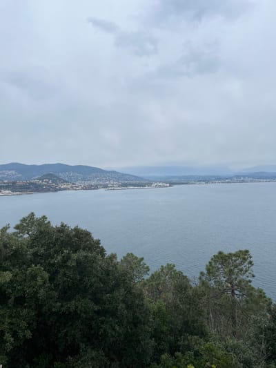 The image displays a panoramic coastal landscape under an overcast sky, captured from an elevated position in or overlooking Théoule-sur-Mer, France. The foreground is dominated by a dense arrangement of green foliage, consisting of various trees including broadleaf species and pines, which partially frame the lower section of the view. A wide expanse of calm, grey-blue water, identified as a bay or sea, occupies the midground, exhibiting minimal surface disturbance. Along the distant horizon, a long stretch of coastline is visible, characterized by undulating hillsides densely populated with numerous light-colored buildings, indicating extensive urban development. Several marine infrastructures, including a distinct port or marina with multiple berths, are discernible along this distant shore. Further inland, faint outlines of additional elevated terrain recede into the atmospheric haze. The sky above is uniformly covered by a layer of light grey clouds. No human figures, specific actions, or interactions are discernible within the scene.