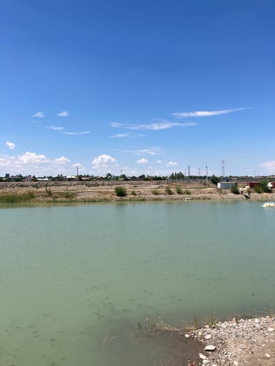 This is a landscape photograph taken in Akbarak, Uzbekistan, on a bright, sunny day. The image is oriented vertically, showing a panoramic view of a calm body of water bordering a dusty, rocky shore with a small settlement visible in the distance.

The scene is divided into two main sections. The left side is dominated by a vibrant blue sky, adorned with scattered white, fluffy clouds and a few wispy streaks. On the right side, a wide expanse of greenish-grey water stretches across the frame. The water's surface is rippled, and numerous small, dark shapes, likely fish, are visible swimming near the surface and in the shallower areas along the shore. The shore itself is a mix of small stones, pebbles, and sparse, dry vegetation.

Behind the shore, the settlement appears to be composed of low-lying buildings, some with red roofs, interspersed with trees and scrubby bushes. Electrical pylons and power lines are prominently visible, stretching across the landscape and indicating the presence of infrastructure. The overall impression is of a somewhat rural or semi-developed area during daylight hours, likely mid-morning or afternoon, given the bright sunlight. There is no discernible activity or event taking place, presenting a static, observational view of the environment. No text is visible in the image.
