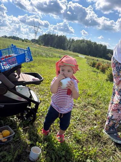 In Moskovka, Russia, on a sunny day with scattered clouds, a young child wearing a red and white striped shirt, blue pants, and a red and orange striped headscarf stands in a grassy field. The child is holding a white cup to their mouth. To the left of the child is a stroller. A blue crate filled with red berries is on top of the stroller. In the foreground, to the left, is a clear plastic container with yellow fruits, possibly peaches or apricots. A white mug rests on the ground near the container. In the background, there is a line of trees and power lines. The legs of an adult wearing a white shirt and floral pants are visible on the right side of the image.