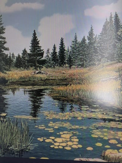 The image depicts a serene natural landscape with a body of water in the foreground, likely a lake or pond. Tall evergreen trees form a dense forest along the far bank of the water, with a mixture of reeds and dry grasses growing in the shallows and along the edge of the trees. The water reflects the trees and the sky, which is partially cloudy and blue. Lily pads are scattered across the surface of the water, and tall green reeds are prominent on the left side of the frame. The scene evokes a sense of tranquility and wilderness. There are no people or man-made structures visible in the image, indicating a natural, undisturbed environment. The image is a digital capture of a painted artwork, as evidenced by the pixelated appearance. The location in the city of Mirnoye, Ukraine is not depicted or implied by the visual elements of the image.