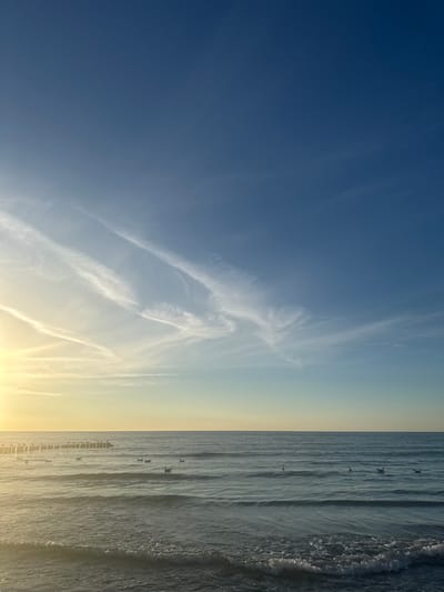 The image depicts a serene seascape at the Baltic Sea in Ustka, Poland. The sky is a gradient of deep blue at the top transitioning to a pale yellow and light blue near the horizon, illuminated by the warm glow of the setting or rising sun, casting a golden light on the clouds. Wispy, white clouds streak across the sky, adding a dynamic element to the scene.

The ocean is calm, with gentle waves lapping at the shore. Several seagulls are scattered across the water, some floating peacefully and others in mid-flight or swimming. In the distance, a wooden breakwater or pier stretches out into the sea, with a line of what appear to be similar wooden structures further down the coastline. These structures create a rhythmic pattern along the water's edge. The overall impression is one of tranquility and natural beauty, characteristic of the Baltic coast during fair weather.