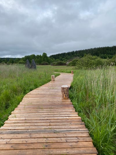 The image depicts a wooden boardwalk winding through a marshy area with tall green grass and reeds. The boardwalk is constructed of light-colored wooden planks and is lined with rough-hewn wooden posts. In the distance, a dense forest borders the marsh, and a small wooden structure, possibly a shed, is visible amongst the trees. The sky is overcast with grey clouds. The scene is a natural landscape, likely an outdoor recreational area or nature reserve. No people are present in the image. The location of Lakhdenkiulya, Russia is not visually confirmed by the image content.