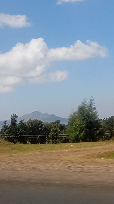 A landscape view presents a blend of natural elements. A mountain stands in the distance beneath a blue sky adorned with puffy white clouds. Closer, a line of trees and shrubs forms a green band across the midground. A grassy, tan area extends to the bottom of the frame, transitioning into a paved surface, potentially a road. The scene is set under daylight conditions, suggesting a serene and possibly rural environment.