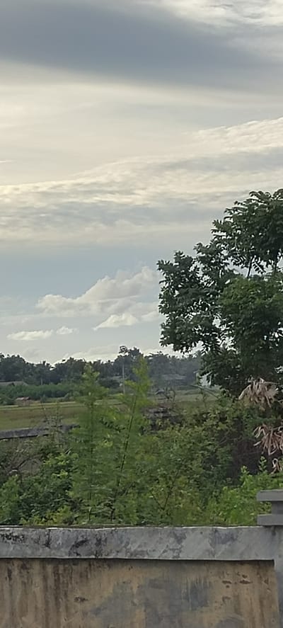 The image presents a view of a landscape in Ranto, Indonesia. Dominating the foreground is a weathered, gray concrete structure with visible staining and wear. Behind this structure is lush vegetation, including trees and shrubs, partially obscuring a view of rice paddies in the middle ground. Small rural structures are scattered amongst the fields. In the background, a line of trees marks the horizon, and a cloudy sky fills the upper portion of the frame. The lighting suggests an overcast day.