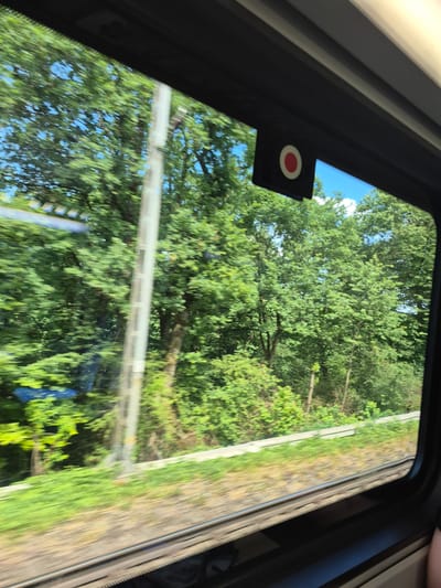 The image is a view through a train window, looking out at a lush green landscape. The perspective suggests the train is moving, evidenced by the slight blurriness of the trees and foliage outside. In the foreground, the train tracks are visible, running horizontally across the bottom of the frame. The window frame itself is dark, with a small, circular red and white sticker adhered to the top interior edge. Outside, dense trees with bright green leaves dominate the scenery, interspersed with patches of blue sky. A vertical, light-colored pole, possibly a utility pole, stands among the trees. The ground outside appears to be covered in grass and other low-lying vegetation. The overall impression is of a scenic journey through a verdant, possibly rural, area. The location is identified as Salmtal, Germany.