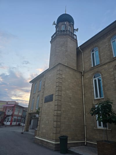 This image shows a low-angle, wide shot of a building with a minaret, possibly a mosque, in Khasavyurt, Russia. The building is constructed of light-colored stone and features several arched windows with white frames. A tall, slender minaret with a dark, domed roof and speakers at its base rises from the left side of the building. The sky is partly cloudy with soft, diffused light, suggesting it is either early morning or late afternoon. A lush green tree is visible to the right of the building, its branches reaching towards the windows. A dark green trash bin is situated near the building's wall. In the background, a red and white building with multiple windows is visible, along with some street-level commercial signage. One sign appears to say "МИР КОЛГОТОК" (MIR KOLGOTOK, meaning "World of Tights") and "ДЕТСКИЕ И ВЗРОСЛЫЕ" (DETSKIYE I VZROSLYYE, meaning "Children's and Adults'"). Another sign is partially visible below it. The overall scene appears calm and quiet.