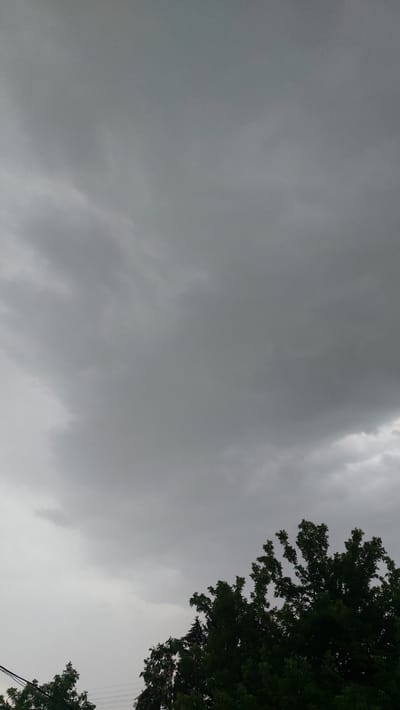 The image depicts an overcast sky with heavy, gray clouds. The lower portion of the image shows the dark green foliage of several trees, with the tops of some of the trees reaching into the cloudy sky. Power lines are visible among the trees on the left side of the image. The scene appears to be an outdoor environment in a city, likely during a cloudy or pre-storm weather condition. No people or specific landmarks identifying Shakhtinsk, Kazakhstan are visible.