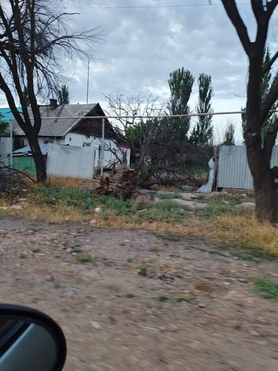 The image depicts a street scene in the city of Shu, Kazakhstan, under an overcast sky. A weathered house with a slate roof is visible in the background, flanked by corrugated metal fences. Several trees, some bare and others with foliage, are scattered throughout the scene. A large, uprooted tree trunk lies on the ground in the mid-ground, adding to the somewhat disheveled appearance of the area. The foreground shows a dirt and gravel road, with a portion of a car's side mirror on the left. The environment appears to be rural or semi-rural, with elements of both nature and human habitation. There are no people or animals visible in the frame.