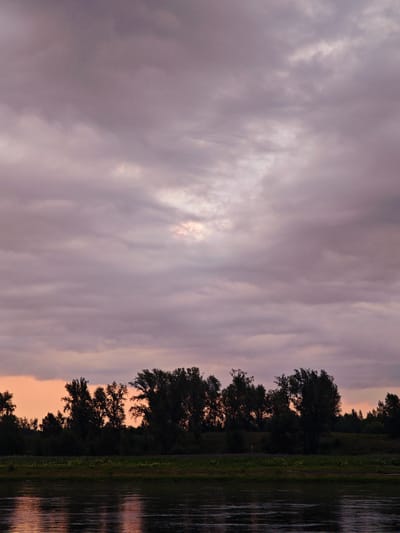 A wide river flows in the foreground of the image. The water is dark and reflects the sky and trees. A line of trees with dark green foliage forms a silhouette against the sky. The trees are dense and varied in height and shape. A strip of green grass is visible between the trees and the river. The sky is cloudy with shades of pink, purple, and gray. The clouds are heavy and obscure the sun, but there is a brighter patch in the center of the sky, suggesting a break in the clouds or a sliver of light. The overall impression is of a tranquil and slightly moody landscape.