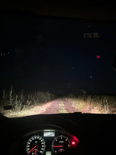 A nighttime view from inside a vehicle, likely a car, shows a dark and narrow road illuminated by headlights. Tall grass lines both sides of the road. The dashboard of the car is visible in the lower right corner, featuring speedometer, tachometer, and other instruments. The speedometer reads approximately 90 km/h, while the temperature is 14°C. The road ahead is dark, suggesting it is unlit. There is no evidence of any people, interaction or indication it is in the city of Jitnitsa, Bulgaria.