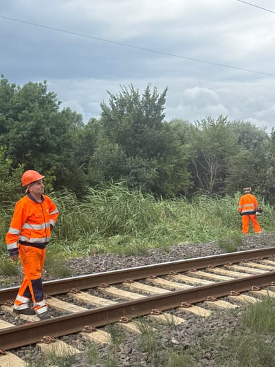 In Kvemo Khvedureti, Georgia, on a cloudy day, two individuals in high-visibility orange workwear are present. The foreground features a man wearing an orange hard hat, an orange jacket with reflective stripes, and orange pants. He is standing on railway tracks, with his hands on his hips, looking to the left. His attire also includes dark shoes and navy blue pants underneath the orange work pants. In the middle ground, another individual, also in orange workwear with reflective stripes, is seen from behind. This person is holding a tool, possibly a trimmer, and appears to be working or preparing to work. Both individuals are situated near a dense growth of tall, green reeds and lush trees line the background. The railway tracks consist of brown metal rails and light-colored concrete sleepers. The sky is overcast with clouds.