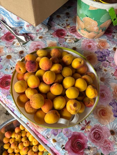 A close-up, overhead shot captures a rustic scene with a bowl of fresh apricots as the focal point. The apricots, varying in shades of yellow and orange, are plump and appear ripe, some with a reddish blush. They are piled high in a light green rimmed bowl, which sits on a tablecloth adorned with a vibrant floral pattern featuring roses, daisies, and other blooms.
To the left of the bowl, a silvery fork rests on the patterned fabric, its tines pointing towards a corner of a brown cardboard box. Partially visible beneath the box is a piece of white cloth with a blue floral design.
To the right of the apricots, a green bucket with a cartoonish strawberry design is visible, its handle a bright green caterpillar shape. The overall impression is one of abundance and a connection to nature, possibly a harvest or preparation for a meal. The scene is likely set outdoors or in a sunlit room, given the bright lighting and natural subjects. The context of Tikhovodnoye, Russia, suggests a rural or suburban setting where such fresh produce might be readily available.