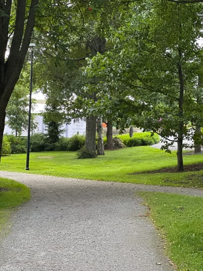 The image depicts a curving gravel path in a park-like setting. To the left of the path is a well-maintained lawn with a streetlamp. In the background, there are several mature trees with dense green foliage and a building with large windows. The scene suggests a public space in the city of Vammala, Finland, likely a park or an area adjacent to a public facility, given the presence of the lamp and the building. There are no people or animals visible in the image, and no specific actions or interactions are taking place. The environment is dominated by lush green vegetation and the artificial elements of the path and lamp.