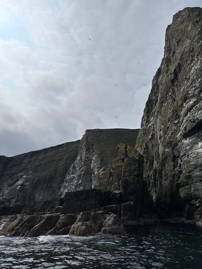 The image shows a dramatic view of tall, dark cliffs meeting the sea, with a cloudy sky overhead. The perspective is from below, looking up at the imposing rock formations. A flock of birds is visible in the sky, soaring amongst the clouds. The cliffs are rugged and textured, with evidence of layers and weathering. The sea, to the right of the frame, appears dark and choppy, reflecting the overcast sky. The scene is likely captured from a boat or at the base of the cliffs, emphasizing their scale and the natural beauty of the coastal environment. The lighting suggests it is daytime, but the cloudy conditions create a somewhat moody or dramatic atmosphere. There are no people or visible text in the image. The location context of Shetland, United Kingdom, suggests a remote, windswept coastal landscape, consistent with the visual elements presented.