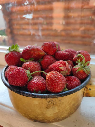 A close-up, vertical shot shows a weathered, yellow enamel bowl filled with ripe strawberries. The bowl, which has a dark rim and a visible handle on the right side, is placed on a white, slightly textured surface that appears to be a windowsill. The strawberries are plump and red, with visible seeds and green stems. In the background, a window pane shows a blurred view of wooden log construction, possibly a building or fence, with a slightly hazy, orange-brown hue. The lighting suggests a natural, indoor setting. The scene is static and appears to be taken in Krestovo-Gorodishche, Russia.