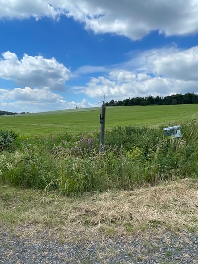 This image depicts a rural scene in Schwarzenborn, Germany. The foreground is dominated by dry, light-colored grass and a gravelly path. To the right of the path, a dense area of tall green grass and wildflowers, some with purple blooms, is visible. A weathered wooden post stands in the middle ground, featuring two small, dark signs, one with a white arrow and the numeral "9", and another below it with a white arrow and the letters "K2". A small, three-bladed object, resembling a mini windmill or propeller, is affixed to the top of the post. Further to the right, another wooden post supports a rectangular sign with text and an image. Behind this vegetation, a vast, undulating green field stretches into the distance, bordered by a line of dark green trees on the horizon. The sky above is a vibrant blue, dotted with scattered white clouds. The overall impression is one of a peaceful, open countryside on a bright day.