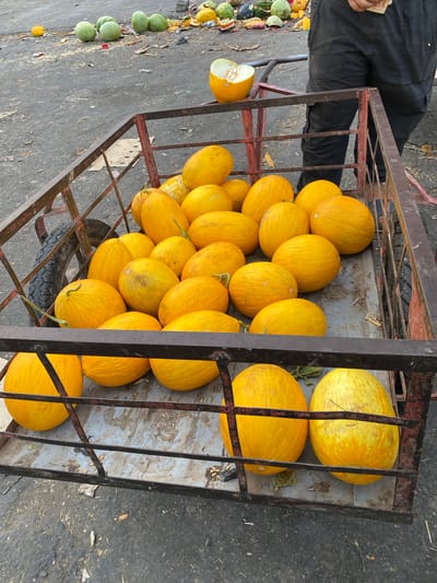 In Bougara, Algeria, a rusty metal cart is filled with ripe yellow melons. The cart is positioned on a dusty, asphalt surface, which is littered with fallen leaves and debris. In the background, other melons and some watermelons are scattered on the ground, some appearing to be cut open. A person's legs, clad in black trousers, are visible to the right of the cart, with the person appearing to hold a wad of paper or money. The overall scene suggests a market or a place where fruits are being sold or transported.