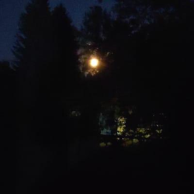 A bright, circular light source, possibly a lamp or a light bulb, shines through dark foliage. The light appears to be in the upper-middle section of the image. The surrounding environment is dark, suggesting it is nighttime or very low light conditions. Silhouetted tree branches and leaves are visible, obscuring much of the background. The overall impression is a dimly lit outdoor scene, with the bright light being the primary focal point. The image does not contain any discernible people or specific landmarks that would indicate a location in Kineshma, Russia.