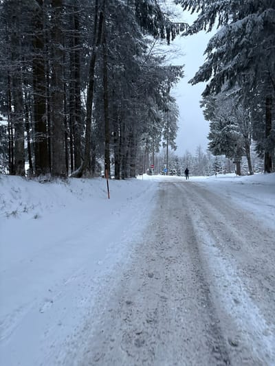 This image displays a snow-covered road scene in Le Hohwald, France, under an overcast, pale grey sky. A two-lane road, partially cleared of snow but covered in dirty slush, ice, and visible tire tracks, recedes into the distance, appearing to ascend gently. Dense stands of tall coniferous trees, their branches heavily laden with snow, line both sides of the road, creating a vertical tunnel effect. In the mid-ground, a solitary individual, rendered as a dark silhouette, walks centrally on the road, moving away from the viewer. On the left side of the road, in the foreground, an orange and black marker pole protrudes from a deep snow bank. Further along the road on the right, two circular traffic signs are visible: a red and white 'do not enter' sign and a blue sign. A wooden signpost is also discernible on the far right, amidst the trees.