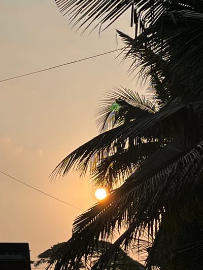 The image depicts a sunset in Tambakreja, Indonesia, viewed through the fronds of a palm tree. The sun, a bright orb, is partially obscured by the dark, silhouetted palm leaves. A thin power line stretches across the hazy, orange sky. In the lower left corner, a dark, flat-roofed structure, likely a building, is visible. The overall scene is one of tropical twilight, with the natural elements of the palm tree and the sunset dominating the frame.