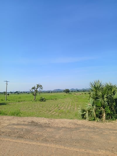 This is a daytime, eye-level, outdoor, vertical, full-frame shot of a rural landscape in Jama'a, Nigeria. The scene is dominated by a clear, bright blue sky occupying the upper two-thirds of the frame. Below the sky, a vast expanse of lush green agricultural land stretches across the middle ground, characterized by neat rows of crops and a scattering of trees.
In the foreground, a dirt road or path is visible, with a textured, sandy surface. The road runs horizontally across the bottom of the image. To the left of the road, a tall wooden utility pole with insulators and wires stands as a solitary man-made structure. Further into the middle ground, to the left of center, a lone, mature tree with a spreading canopy is prominent. Behind it, smaller trees and vegetation dot the landscape.
To the right of the frame, a dense cluster of palm-like fronds, possibly from a palm tree or a similar plant, adds a vibrant green element to the scene. In the background, a low range of hills or mountains is visible under the horizon, with some scattered structures and more distant vegetation. The overall impression is one of a peaceful, agrarian environment. No people or animals are discernible in the image.