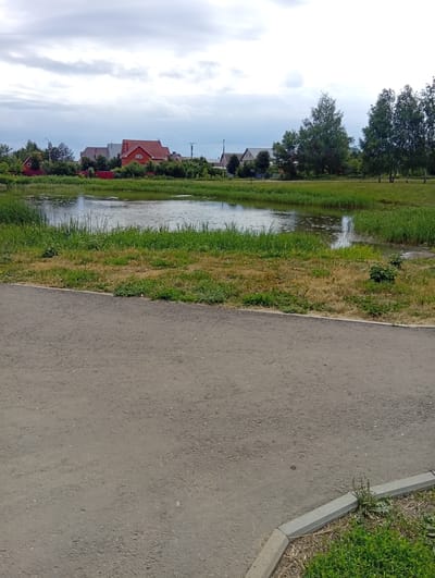The image depicts a serene, natural landscape scene in Ruzaevka, Russia. The foreground is dominated by a paved path or road, likely made of asphalt, with a concrete curb on the right side separating it from a grassy area. Beyond the path lies a tranquil pond or lake, fringed with lush green reeds and tall grass. The water's surface reflects the overcast sky, with some lily pads scattered across it.
In the mid-ground, a line of trees stands tall, some appearing to be birch trees with their distinctive white bark, while others are denser evergreens. Behind the trees, a residential area is visible, characterized by several houses with red-tiled roofs and fenced yards. These houses appear to be typical village homes, suggesting a rural or suburban setting.
The sky is filled with heavy, grey clouds, indicating an overcast day. The overall atmosphere is peaceful and quiet, with no people or animals visible. The lighting suggests it is daytime, likely afternoon, given the diffused light. The presence of a pond and houses with red roofs are common features in the Russian landscape, consistent with the provided location context of Ruzaevka, Russia. There is no visible text in the image.