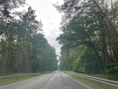 The image depicts a two-lane asphalt road flanked by dense green forests on both sides. The road is marked with white lines, and a silver guardrail runs along the right side of the road. In the distance, a dark-colored car is visible driving away from the camera. The sky is overcast with a few clouds. The trees are tall and appear to be pine and deciduous varieties, with lush green foliage. The scene suggests a rural or suburban environment, likely a road through a wooded area. Without further information, it is impossible to definitively confirm the location as Neustadt-Glewe, Germany, however, this scenery is consistent with roads in such areas.