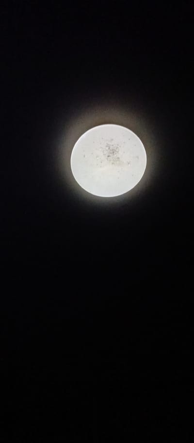 A circular, white ceiling light fixture with a frosted diffuser is illuminated against a black background. The fixture appears to have a textured or patterned surface. The image is a close-up shot, focusing on the light fixture, with the rest of the scene being obscured by darkness. There are no people, animals, or other objects visible. The location in the city of Rubtsovsk, Russia cannot be determined from this image.