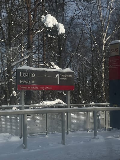 The image depicts a snow-covered train station platform area in Есино (Esino), Russia, during daylight hours. In the center, a dark brown rectangular sign with white text reads "Есино" and "Esino" on the top line, with "1" and "Платформа" (Platform) next to it. Below, a red strip contains "Поезда на Москву" (Trains to Moscow) and "Trains to Moscow". The top edge of this sign is covered in a layer of snow. In the foreground, a light gray metal railing or fence structure, also partially covered in snow, extends horizontally across the frame. To the far right, a vertical red and dark gray post displays "SOS" in white text at the top. The background consists of numerous bare deciduous trees, their branches heavily laden with thick white snow, suggesting a winter environment. The ground surface is entirely covered in snow. No people or active interactions are visible.