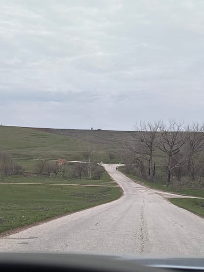 The image depicts a rural road scene in Suhache, Bulgaria, under an overcast sky. A cracked and worn asphalt road, viewed from a low perspective consistent with being inside a vehicle (dashboard visible at the bottom), extends into the mid-ground where it curves to the left and appears to fork, with another path branching right. To the left of the road, green grassy fields ascend towards rolling hills. A small, dilapidated brick structure with an exposed roof is visible in the mid-distance within the fields on the left. Further up the hill, patches of exposed brown earth are present. A single individual, a pedestrian dressed in dark clothing, walks away from the camera on the left side of the asphalt road, near the curve. To the right of the road, a line of leafless deciduous trees with dark bark borders the path, some appearing charred. A metal lattice utility pole with attached power lines stands on the right side of the road, approximately mid-frame. Distant, bare trees and a lone sapling are visible on the horizon of the hills. The sky is uniformly light gray with diffused cloud cover.