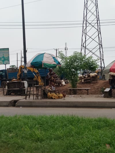 In Owode-Elede, Nigeria, an outdoor market scene unfolds under a cloudy sky. A large, yellow excavator is parked behind a blue truck, its arm extended. In front of the excavator, a woman stands under a green and white striped umbrella, holding a bunch of bananas. Piles of bananas are also visible on the ground. To the right, a herd of cattle are grazing near a small tree. Several wooden structures, including benches and tables, are scattered throughout the area. A chicken stands on the paved area in front of a grassy verge. Power lines crisscross the sky, with a tall electricity pylon dominating the background. A sign is visible on the left, indicating a business related to "TABLE FOODS". The ground is a mix of dirt and pavement, with some scattered litter.