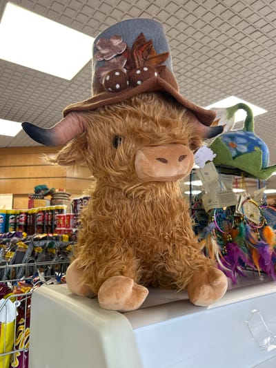 A medium shot captures a stuffed toy highland cow, with tan, shaggy fur, a tan snout with two brown nostrils, and black horns, adorned with a gray and brown hat embellished with felt foliage. The cow rests on a white shelf in what appears to be a retail environment. In the background, various items are visible, including a blue and green felt mushroom, a dreamcatcher with feathers, and shelves stocked with snacks. The photo, taken indoors with overhead fluorescent lighting, suggests a commercial setting, possibly a souvenir shop in Brechin, United Kingdom.