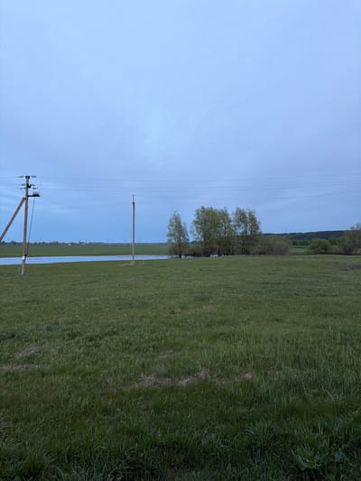 The image depicts a rural landscape in or near Azyakul', Russia, showing a waterlogged grassy field extending towards a line of trees and a distant treeline. Several wooden power poles are visible, supporting electrical wires running across the frame. The sky is overcast and light blue. There are no people visible. The primary subjects are the field, the water inundation, the trees, and the power infrastructure.