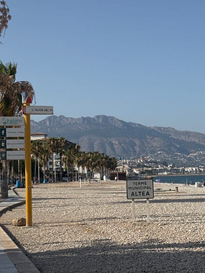 The image captures a sunlit scene on a pebbled beach in l'Alfàs del Pi, Spain, with a clear blue sky overhead and a range of mountains in the background. A prominent yellow signpost on the left displays multiple directional signs. The uppermost sign reads "L'ALFÀS DEL P," indicating the location. Below this, several signs feature the "turismo l'alfas" logo, with one also showing a Facebook icon and the text "@Turismolalfas" repeated twice, suggesting a social media presence for local tourism. Another sign is partially visible at the top, with a colorful emblem.

Further to the right, a smaller white sign with black lettering stands on two poles, stating "TERME MUNICIPAL ALTEA." This indicates the presence of municipal thermal baths in Altea, a nearby town.

The beach itself is covered in small, light-colored pebbles. A paved walkway or promenade runs along the left edge of the frame, bordered by palm trees and some low vegetation. Buildings, some with white facades, are visible behind the palm trees, suggesting a coastal town or resort area.

In the distance, the sea is visible, with a few scattered beachgoers. The mountains in the background are rugged and appear to be covered in scrub or sparse vegetation. The overall impression is one of a relaxed, warm, coastal environment. No specific interactions between people are evident, and the individuals present are small in the frame and not the primary focus.